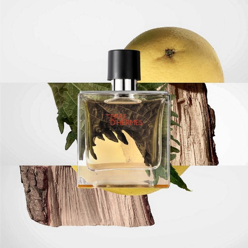 Terre d Hermes Perfume