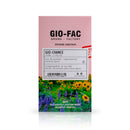 Gio Fac Aroma Factory Gio Chance Eau de Parfum 100ml