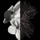 Givenchy Gentleman for Men EDP 100ml-xpressionsstyle