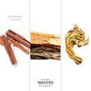 Azzaro Wanted by Night for Men EDP 100ml-xpressionsstyle