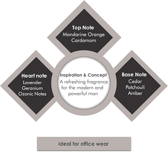 Porsche Design Palladium for Men Eau De Toilette 100ml