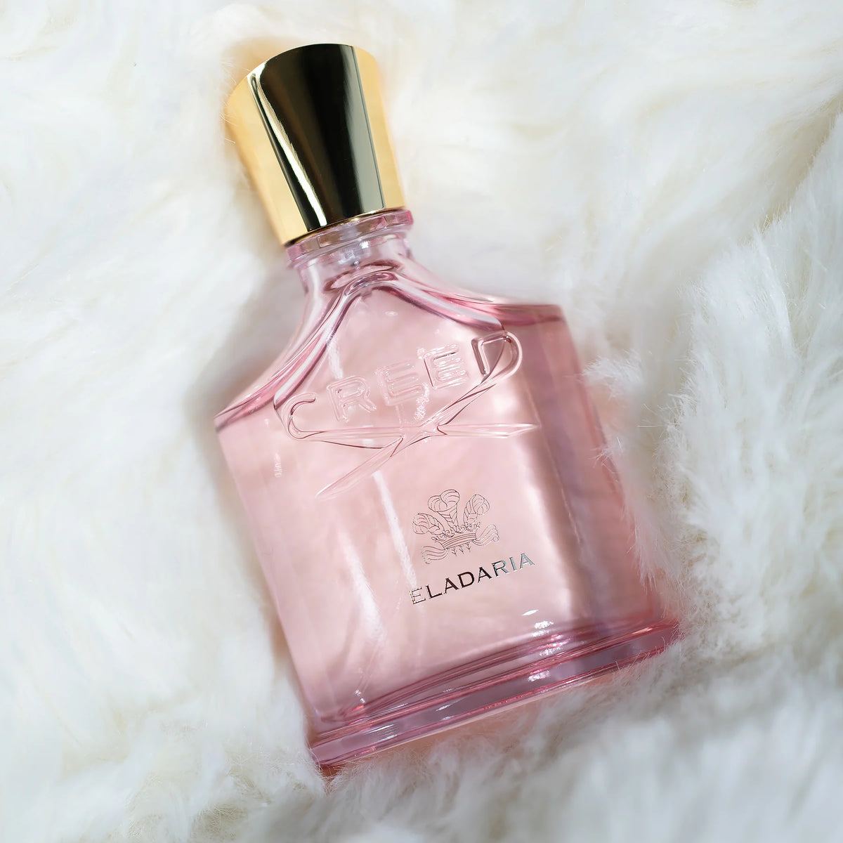 Authentic Creed Eladaria Perfume for Women 75ml | Xpressions.ae