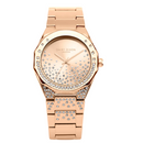 Daisy Dixon Ladies Watch – Model DD129RGM