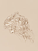 Sheglam Jelly Wow Hydrating Lip Oil-xpressionsstyle