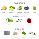 Armaf Club de Nuit Intense Perfume for Men 105ml EDT-xpressionsstyle