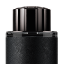 Mont Blanc Explorer for Men 100ml EDP-xpressionsstyle