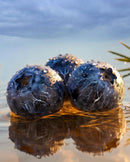 Juniper berries with water droplets representing a fresh note in Khamrah Waha by Lattafa